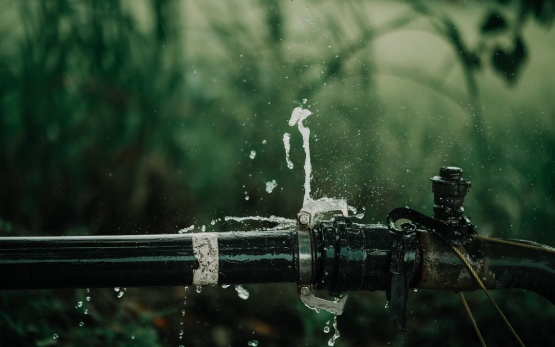 The Warning Signs of a Hidden Water Leak Before It Gets Worse